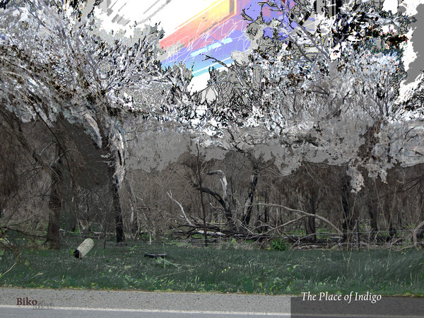 The Place of Indigo