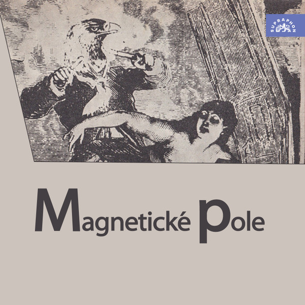 Magnetické Pole