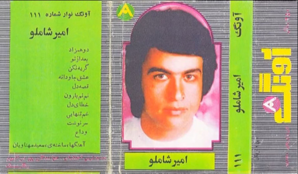 امیر شاملو
