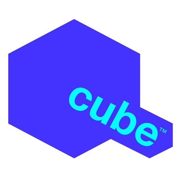 The Party (The Cube Guys Mix)