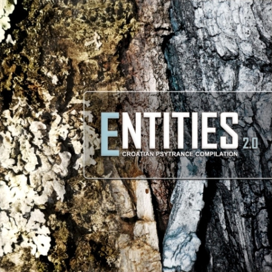 Entities 2.0