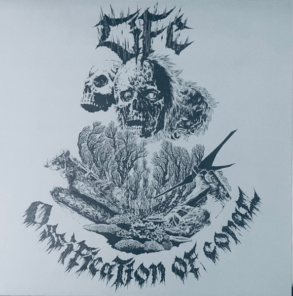 Ossification Of Coral
