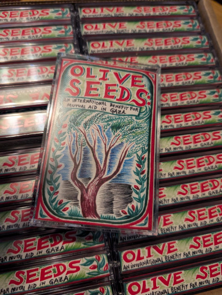 Olive Seeds: An International Benefit for Mutual Aid in Gaza