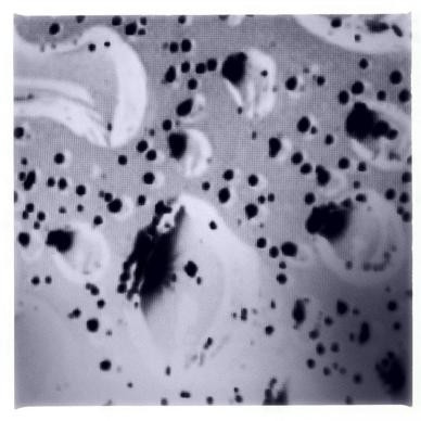 Black Hole III (Gravitational Singularity)