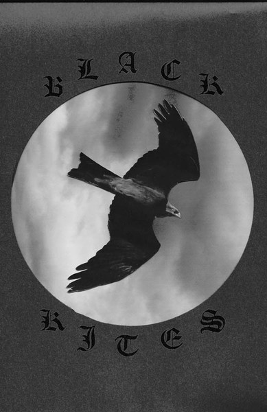 The Last Three Songs