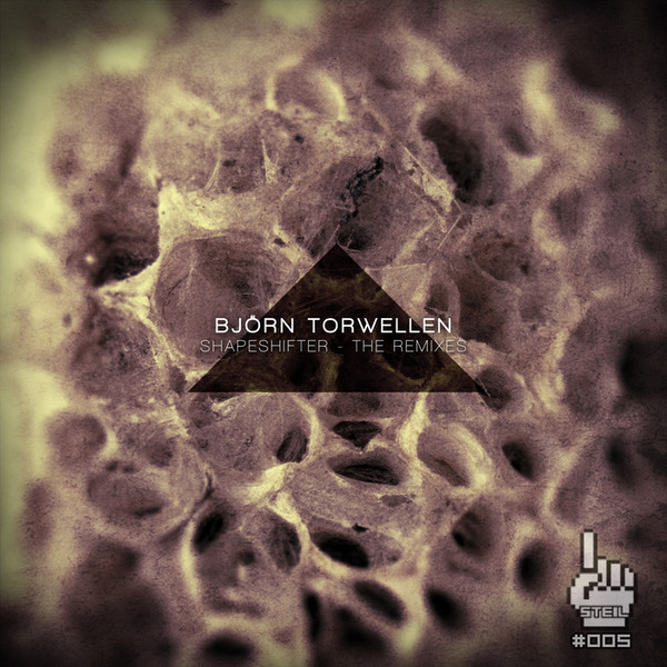Shapeshifter (The remixes)