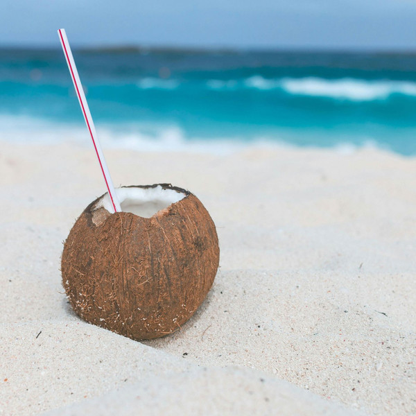 Just Fell Out Of A Coconut Tree