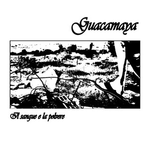 Il Sangue E La Polvere