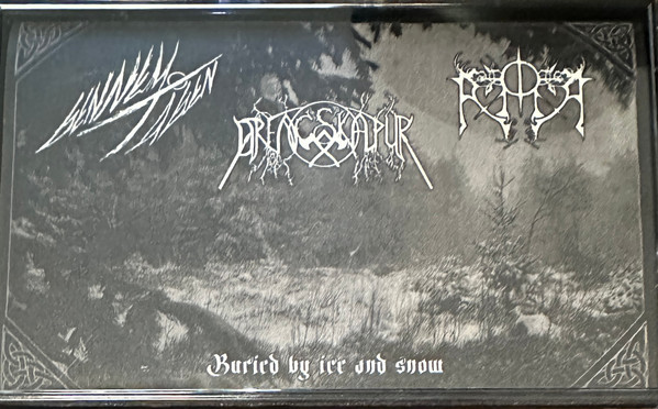 Buried By Ice And Snow