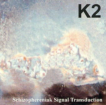 Schizophereniak Signal Transduction