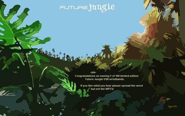 Future Jungle USB Wristband