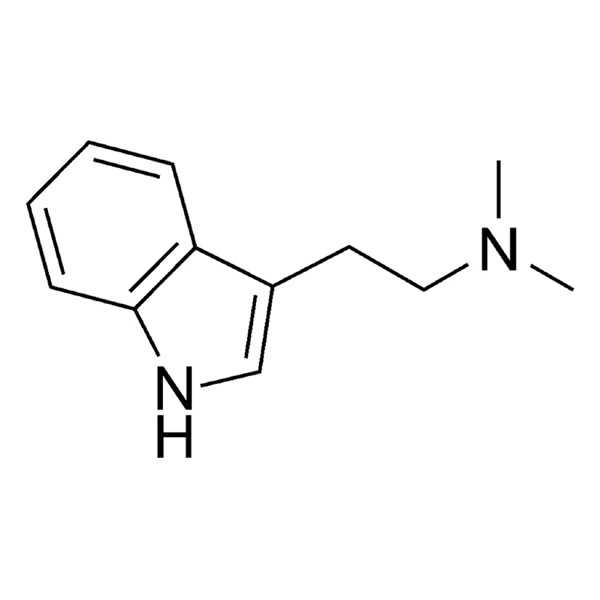 Music For N​,​N​-​Dimetyltryptamin