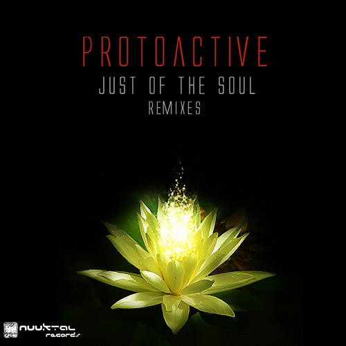 Just Of The Soul - Remixes