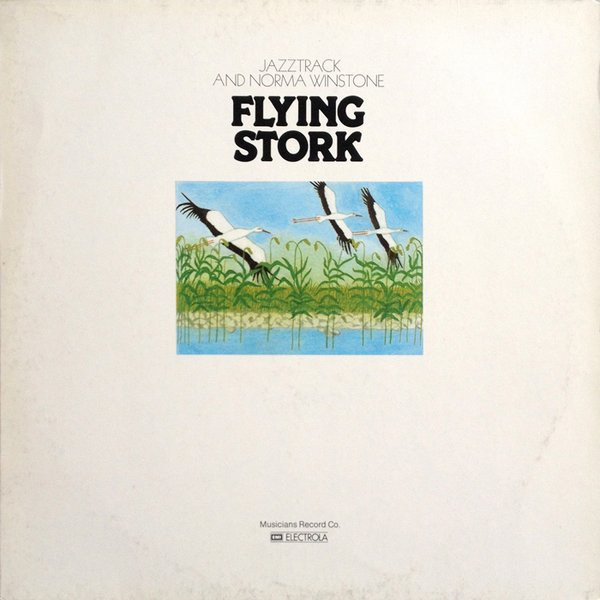 Flying Stork
