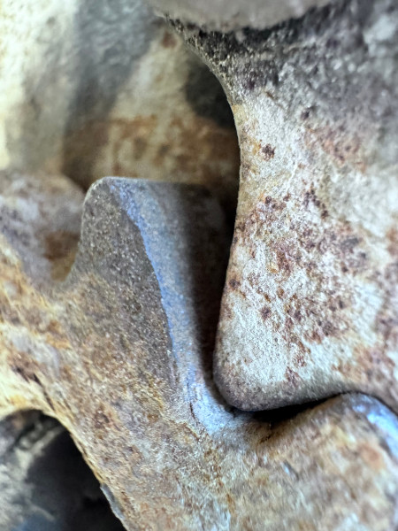 Sterocytose