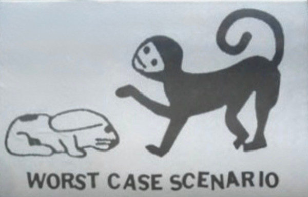Worst Case Scenario
