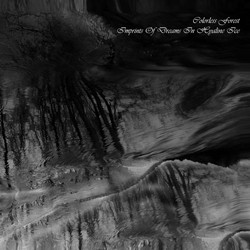 Imprints Of Dreams In Hyaline Ice