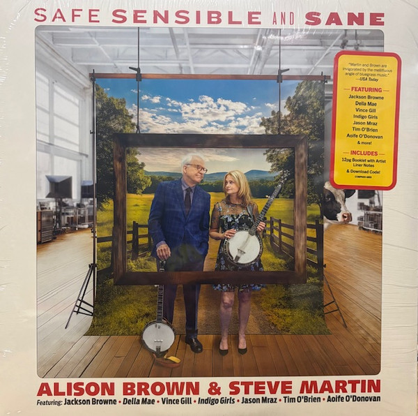 Safe Sensible And Sane
