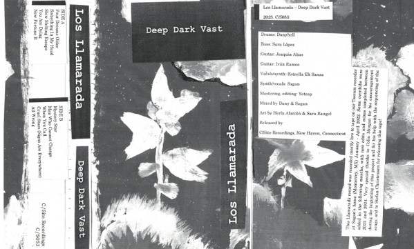 Deep Dark Vast