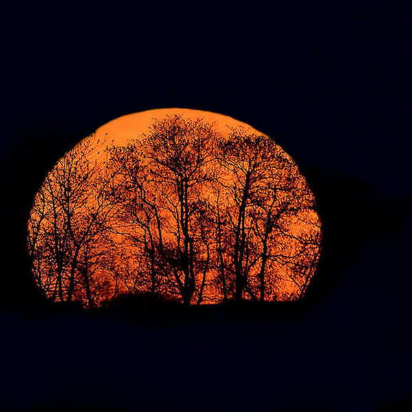 Orange Lights & Dark Nights
