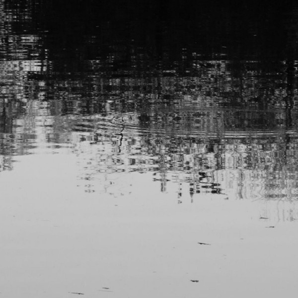 Slow Waves