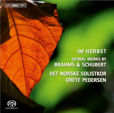 Im Herbst (Choral Works By Brahms & Schubert)