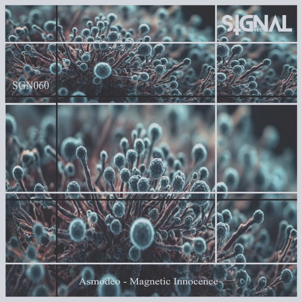 Magnetic Innocence