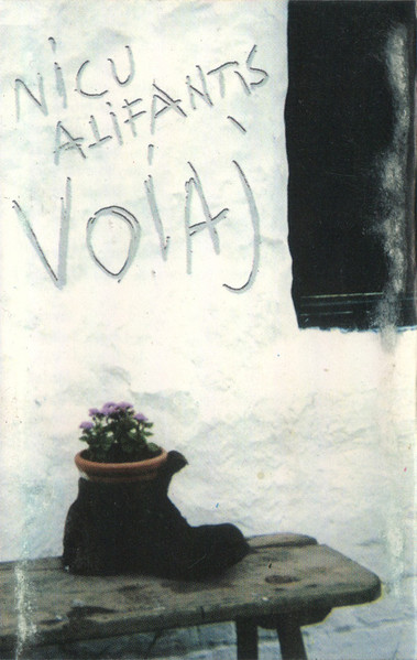 Voiaj