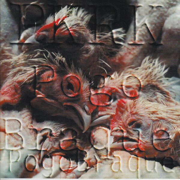 Pogo Braque