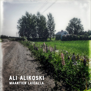 Maantien Laidalla