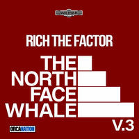The North Face Whale V.3 