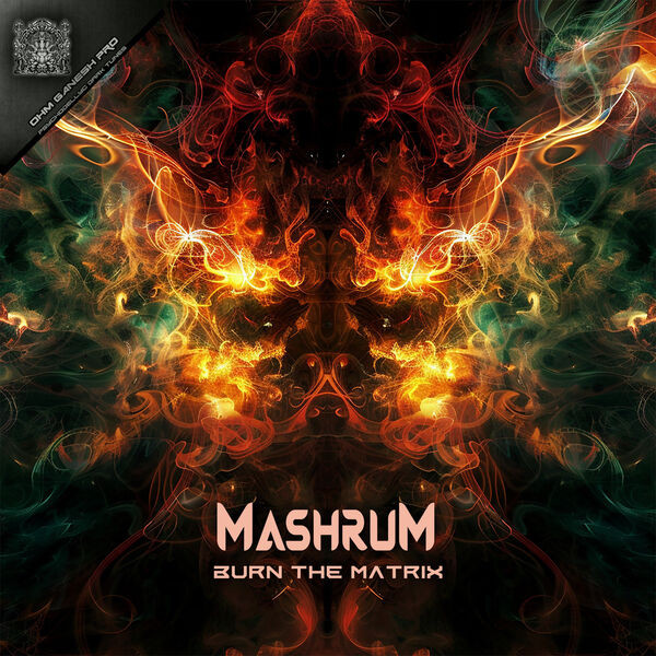 Burn The Matrix