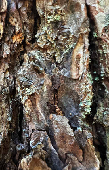 Split