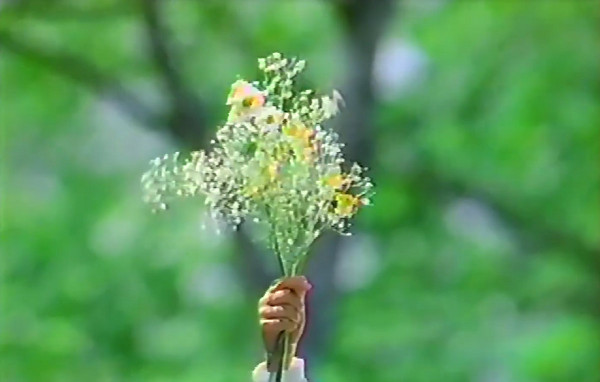 Cherished Memories 