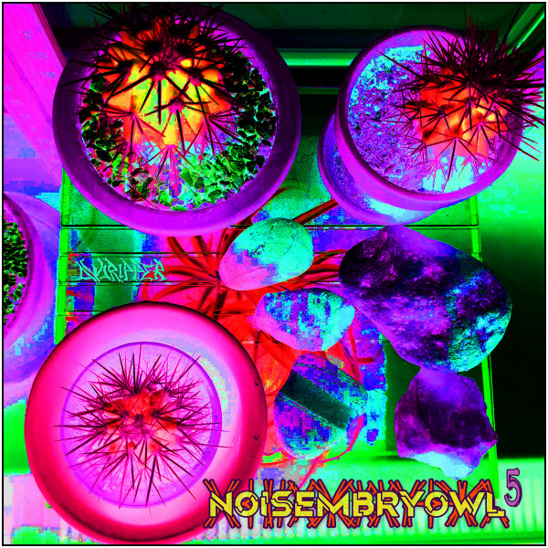 Noisembryowl 5