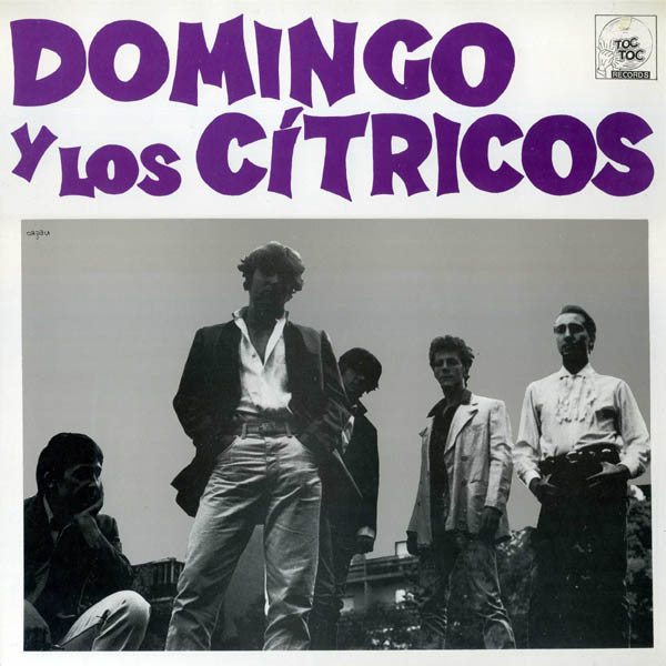 Domingo Y Los Cítricos