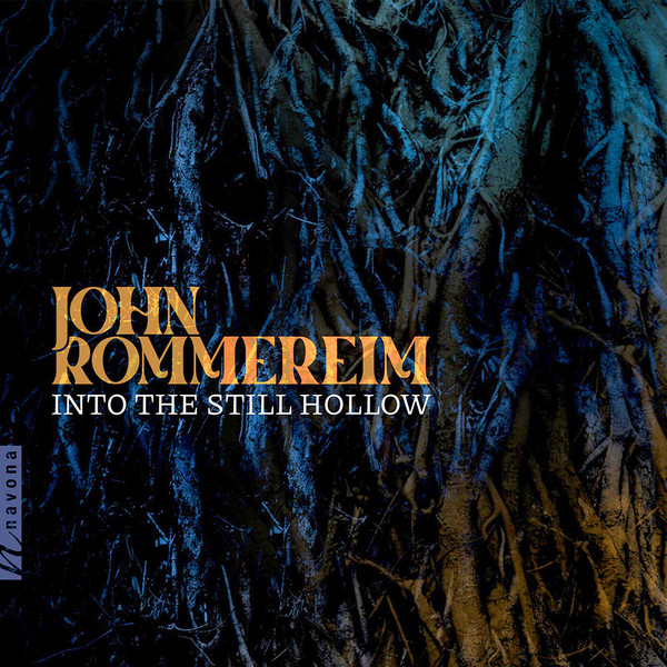 Into The Still Hollow