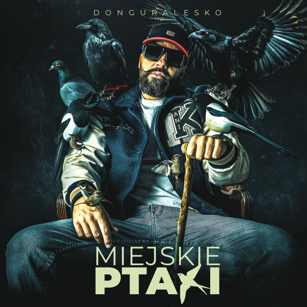 Miejskie Ptaki