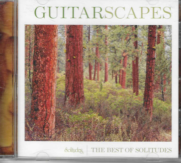 Guitarscapes