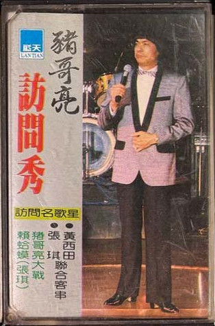 豬哥亮訪問秀8