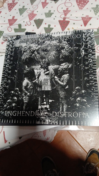 4 split LP