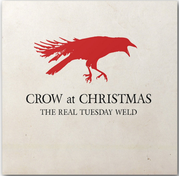 Crow At Christmas