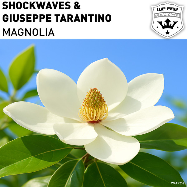 Magnolia