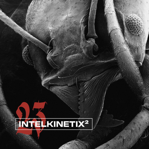 intelkinetix²