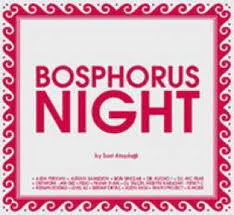 Bosphorus Night By Suat Ateşdağlı