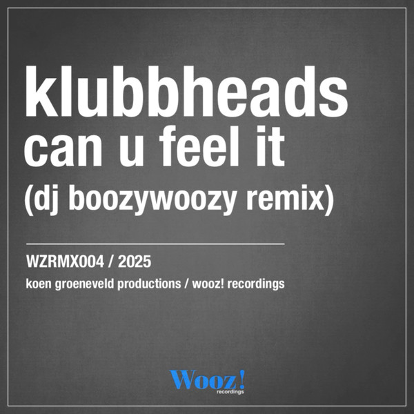 Can U Feel It (DJ BoozyWoozy Remix)