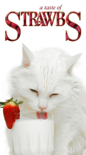 A Taste Of Strawbs