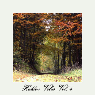 Hidden Vibes Vol. 4