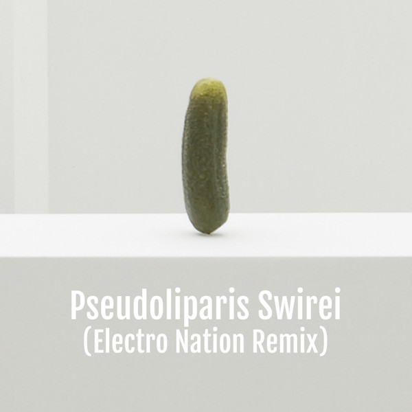 Pseudoliparis Swirei (Electro Nation Remix)