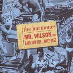 Mr. Wilson